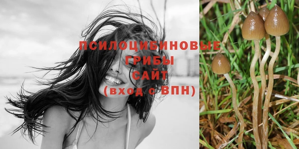 герыч Покровск