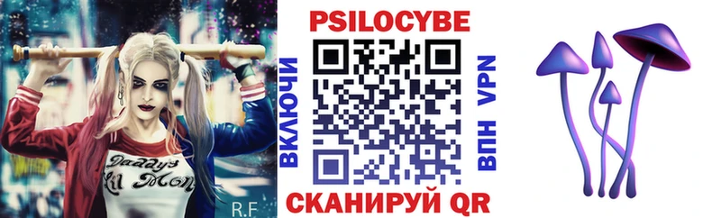 omg как зайти  Бабушкин  Псилоцибиновые грибы Psilocybine cubensis 